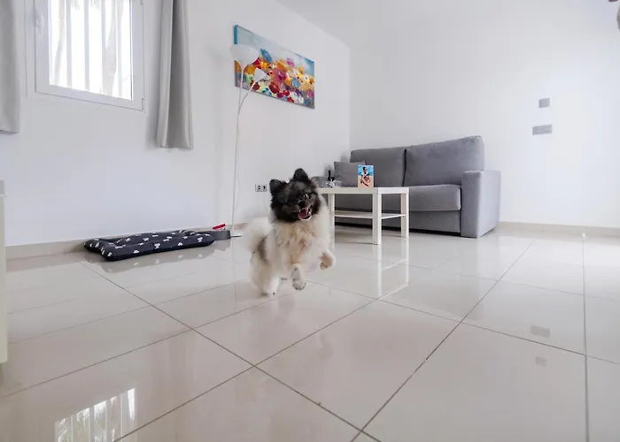 Bahia Calma 4* Costa Calma