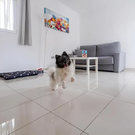 Bahia Calma 4* Коста Калма